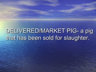 DELIVERED/MARKET PIG- a pigDELIVERED/MARKET PIG- a pig
that has been sold for slaughter.that has been sold for slaughter.
 