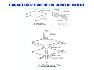 CARACTERÍSTICAS DE UN CONO REICHERT
 