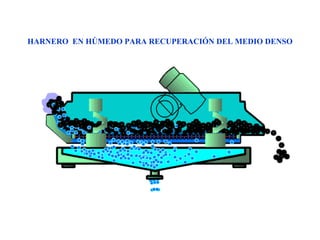 HARNERO EN HÚMEDO PARA RECUPERACIÓN DEL MEDIO DENSO
 