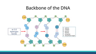 01-Concepts of Molecular Biology-Cytogenetics.pptx