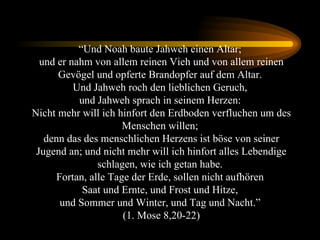 “ Und Noah baute Jahweh einen Altar;  und er nahm von allem reinen Vieh und von allem reinen Gevögel und opferte Brandopfer auf dem Altar.  Und Jahweh roch den lieblichen Geruch,  und Jahweh sprach in seinem Herzen:  Nicht mehr will ich hinfort den Erdboden verfluchen um des Menschen willen;  denn das des menschlichen Herzens ist böse von seiner Jugend an; und nicht mehr will ich hinfort alles Lebendige schlagen, wie ich getan habe.  Fortan, alle Tage der Erde, sollen nicht aufhören  Saat und Ernte, und Frost und Hitze,  und Sommer und Winter, und Tag und Nacht.”  (1. Mose 8,20-22) 