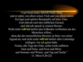 “ Und Noah baute Jahweh einen Altar;  und er nahm von allem reinen Vieh und von allem reinen Gevögel und opferte Brandopfer auf dem Altar.  Und Jahweh roch den lieblichen Geruch,  und Jahweh sprach in seinem Herzen:  Nicht mehr  will ich  hinfort den Erdboden verfluchen um des Menschen willen;  denn das des menschlichen Herzens ist böse von seiner Jugend an; und nicht mehr  will ich  hinfort alles Lebendige schlagen, wie ich getan habe.  Fortan, alle Tage der Erde, sollen nicht aufhören  Saat und Ernte, und Frost und Hitze,  und Sommer und Winter, und Tag und Nacht.”  (1. Mose 8,20-22) 