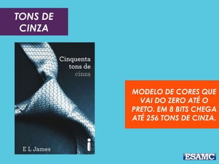 TONS DE
CINZA
MODELO DE CORES QUE
VAI DO ZERO ATÉ O
PRETO. EM 8 BITS CHEGA
ATÉ 256 TONS DE CINZA.
 