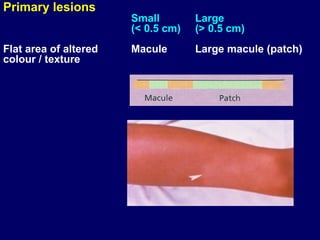 Maculated Diagnosis of skin disorders and how to deal.ppt