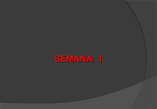 SEMANA 1




           1
 
