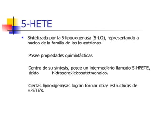 5-HETE <ul><li>Sintetizada por la 5 lipooxigenasa (5-LO), representando al nucleo de la familia de los leucotrienos </li><...