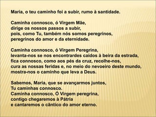 Maria, o teu caminho foi a subir, rumo à santidade.
Caminha connosco, ó Virgem Mãe,
dirige os nossos passos a subir,
pois, como Tu, também nós somos peregrinos,
peregrinos do amor e da eternidade.
Caminha connosco, ó Virgem Peregrina,
levanta-nos se nos encontrardes caídos à beira da estrada,
fica connosco, como aos pés da cruz, recolhe-nos,
cura as nossas feridas e, no meio do nevoeiro deste mundo,
mostra-nos o caminho que leva a Deus.
Sabemos, Maria, que se avançarmos juntos,
Tu caminhas connosco.
Caminha connosco, Ó Virgem peregrina,
contigo chegaremos à Pátria
e cantaremos o cântico do amor eterno.
 