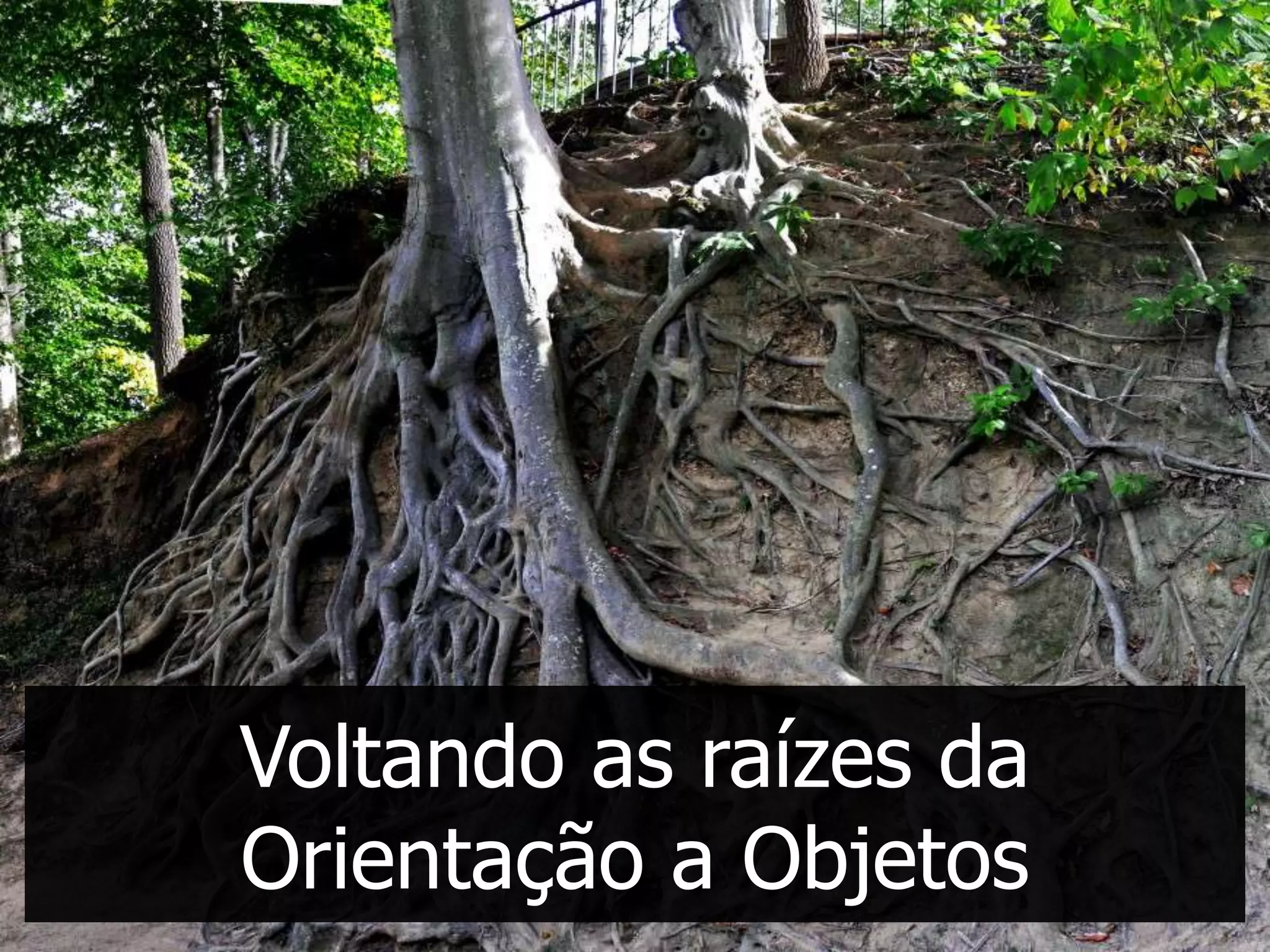 Voltando as raízes da
Orientação a Objetos
 