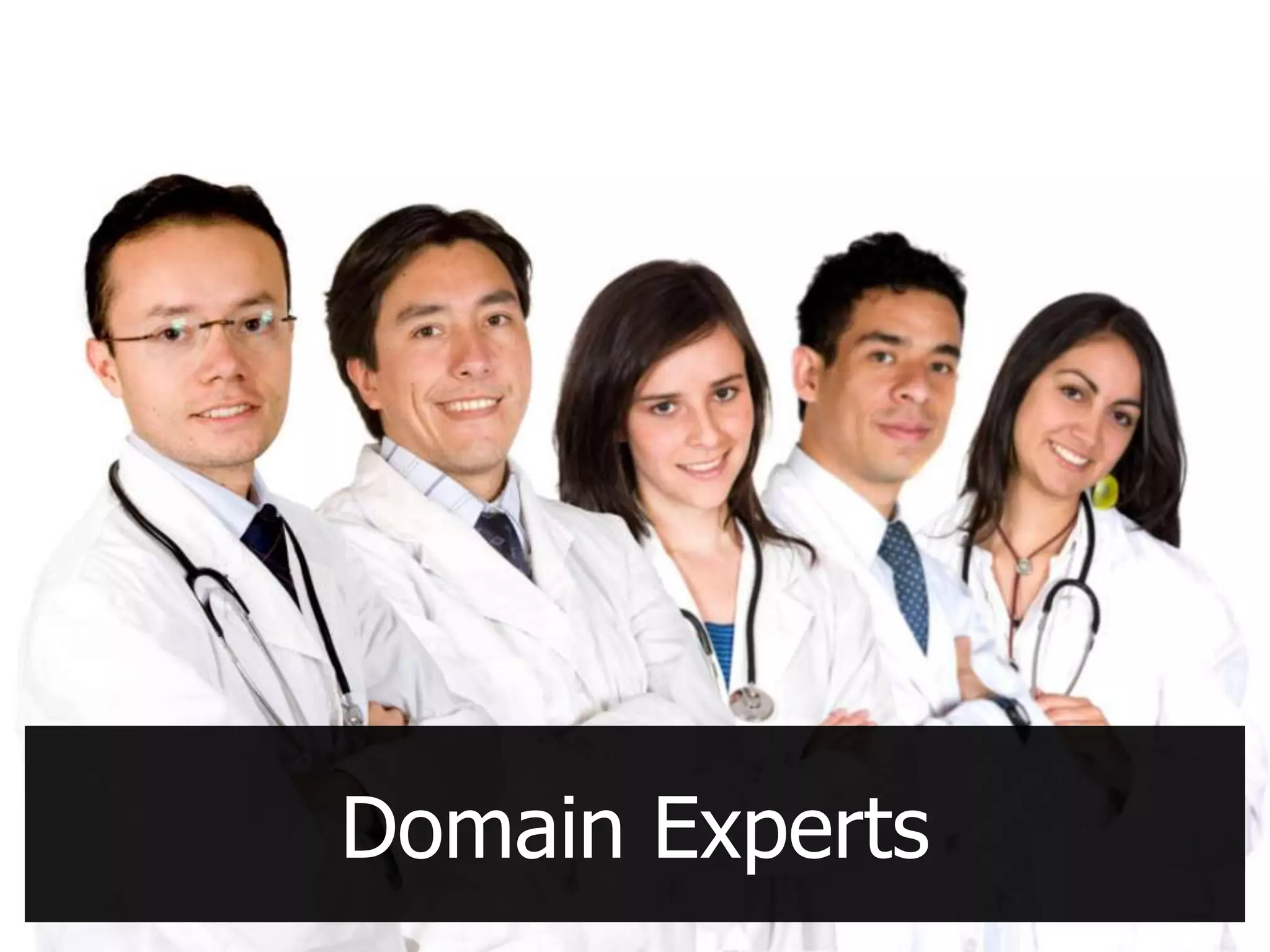 Domain Experts
 