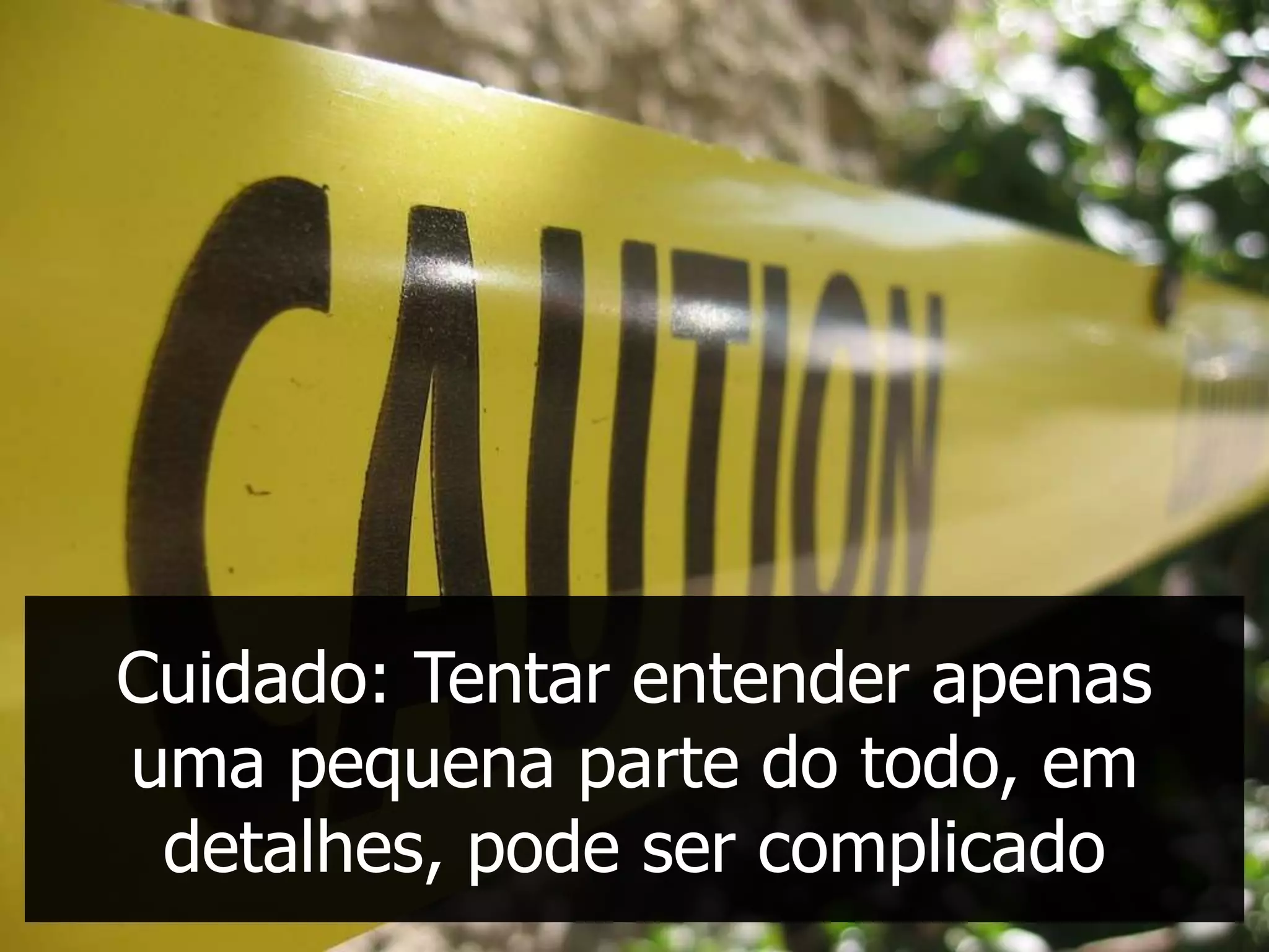 Cuidado: Tentar entender apenas
uma pequena parte do todo, em
 detalhes, pode ser complicado
 