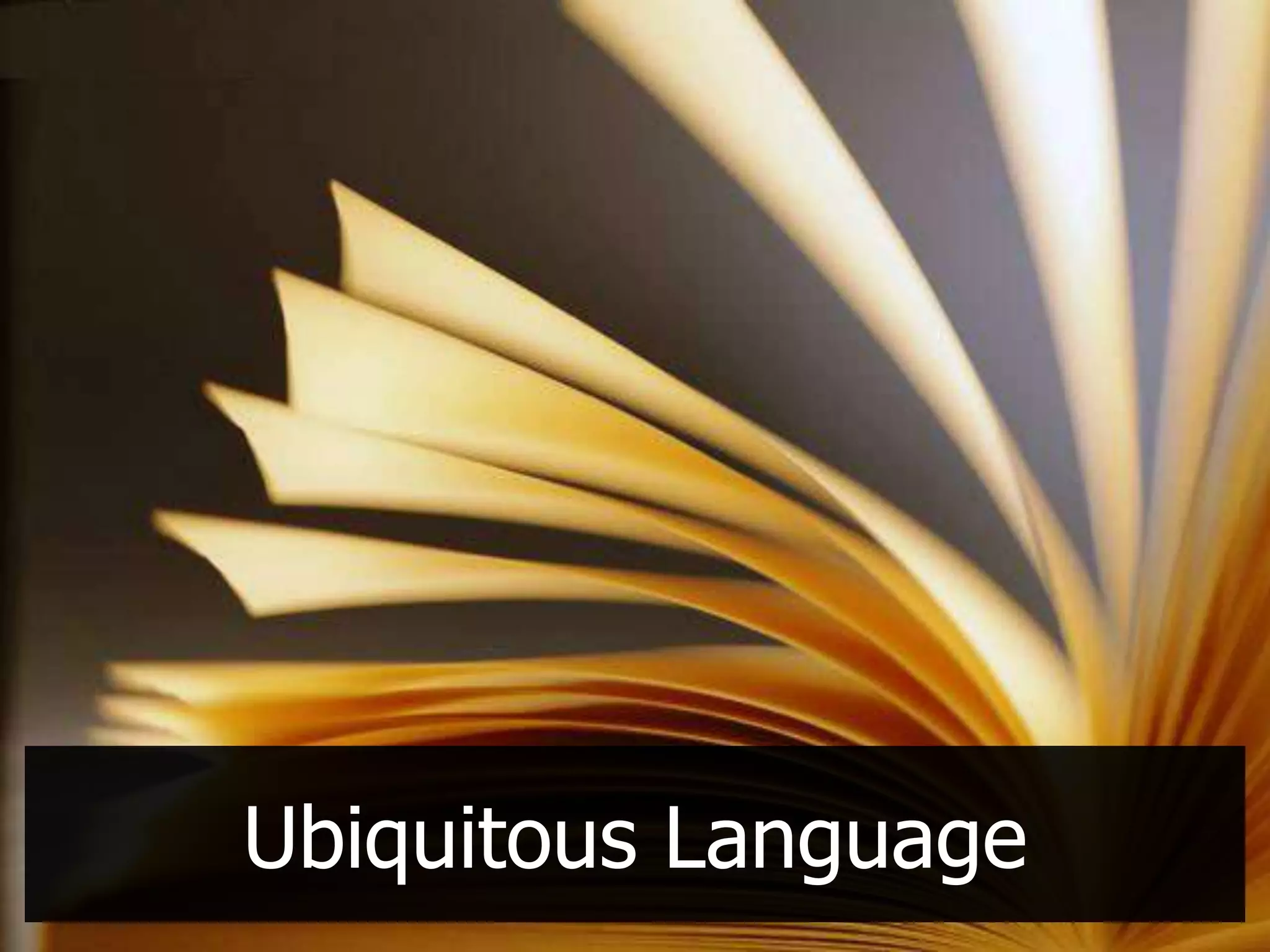 Ubiquitous Language
 