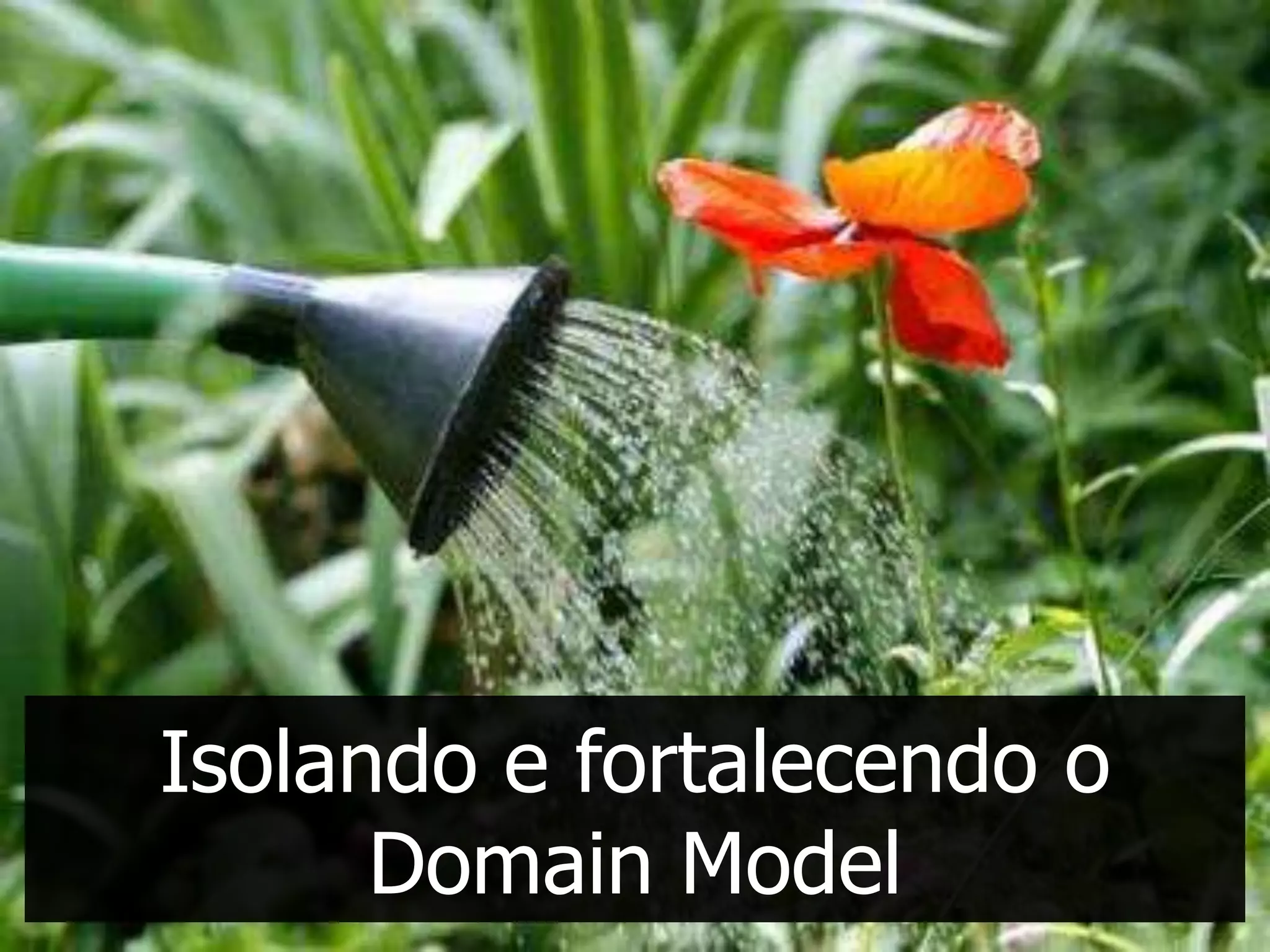 Isolando e fortalecendo o
      Domain Model
 