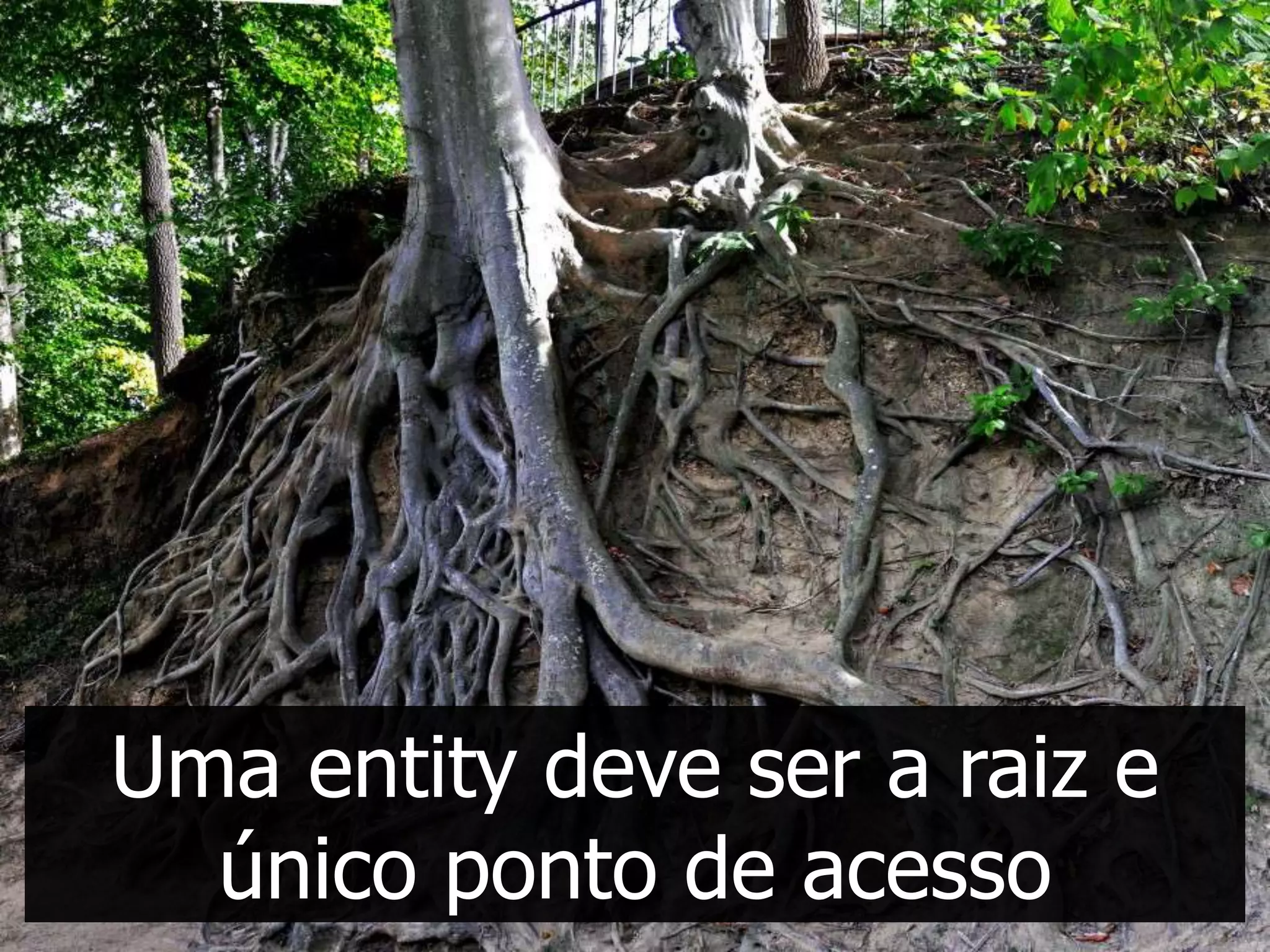 Uma entity deve ser a raiz e
  único ponto de acesso
 