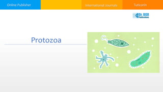 General characteristics of Protozoa | Dr.BGR Publications | PPTX