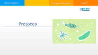 Online Publisher International Journals Tuticorin
Protozoa
 