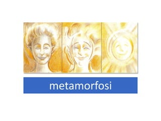 metamorfosi
 