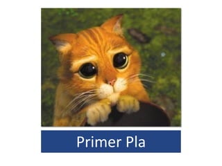 Primer Pla
 