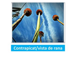 Contrapicat/vista de rana
 