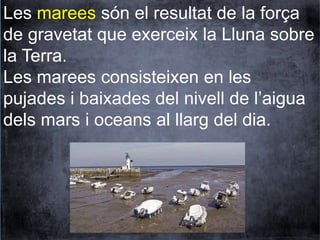 Les marees són el resultat de la força 
de gravetat que exerceix la Lluna sobre 
la Terra. 
Les marees consisteixen en les 
pujades i baixades del nivell de l’aigua 
dels mars i oceans al llarg del dia. 
 