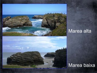 Marea alta 
Marea baixa 
