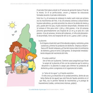 La salud desde el principio Guía de salud materno - infantil
ESTILO DE VIDA DURANTE EL EMBARAZO LOS CONTROLES DURANTE EL EMBARAZO MOTIVOS DE CONSULTA DURANTE EL EMBARAZO EDUCACION MATERNAL
19
El periodo fetal abarca desde la 9ª semana de gestación hasta el final de
la misma. En él se perfeccionan, crecen y maduran las estructuras
formadas durante el periodo embrionario.
Entre las 17 y 20 semanas de embarazo la madre suele notar por primera
vez los movimientos del feto. A las 28 semanas comienza a desarrollarse
la grasa subcutánea, ya están presentes las uñas en los dedos de manos y
pies, puede abrir los ojos, el pelo está bien desarrollado. Alrededor de la
32 semana el feto pesa entre 1.300 y 1.800 gramos. A las 36 semanas
presenta aproximadamente una longitud de 32 cm y un peso de 2.500
gramos. A las 40 semanas, término del embarazo, el niño está plenamen-
te desarrollado, tiene una longitud de 48-52 cm. y pesa 3.000-3.500 gr.
La placenta
Eselórganoatravésdelcualelfetoabsorbeoxígeno,nutrientesyotras
sustancias y elimina los productos de deshecho. Empieza a desarro-
llarse al 8º día del embarazo y al final del mismo mide 20 centímetros
de diámetro y pesa en torno a 500 gramos. Se desprende inmediata-
mente después del nacimiento del niño.
El cordón umbilical
Une al feto con la placenta. Contiene vasos sanguíneos que llevan
la sangre de la placenta al feto con las sustancias que lo nutren y
devuelven a la placenta la sangre para eliminar los productos de
deshecho y volver a oxigenarse en el organismo de la madre.
La “bolsa de las aguas” y el líquido amniótico
El niño crece y se desarrolla en la cavidad amniótica, dentro de una
bolsa (bolsa de las aguas) que está llena de líquido amniótico en el
que flota, eso le permite libertad de movimientos y le protege de
traumatismos (caídas, contracciones intensas, golpes).
16-39 salud.qxd:-01 Guia_emba_01 4.qxd 18/6/08 08:58 Página 19
 