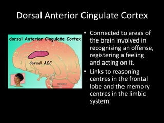 Dorsal Anterior Cingulate Cortex
                • Connected to areas of
                  the brain involved in
                  recognising an offense,
                  registering a feeling
                  and acting on it.
                • Links to reasoning
                  centres in the frontal
                  lobe and the memory
                  centres in the limbic
                  system.
 