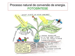 Processo natural de conversão de energia. FOTOSÍNTESE 