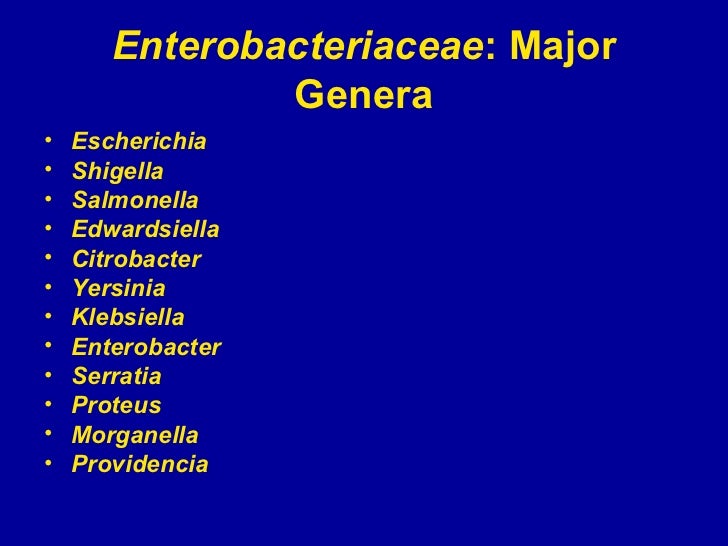 the characteristics of escherichia coli a type of enterobacteria Shigella spp and pathogenic escherichia coli are e coli and shigella dysenteriae type i as surrogator of pathogenic e coli and other enterobacteria. the characteristics of escherichia coli a type of enterobacteria Shigella spp and pathogenic escherichia coli are e coli and shigella dysenteriae type i as surrogator of pathogenic e coli and other enterobacteria.