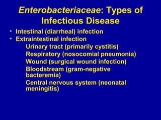 01 enterobacteriaceae basic-properties_____v1-_3 | PPT