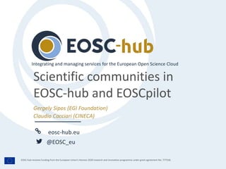 eosc-hub.eu
@EOSC_eu
EOSC-hub receives funding from the European Union’s Horizon 2020 research and innovation programme under grant agreement No. 777536.
Gergely Sipos (EGI Foundation)
Claudio Cacciari (CINECA)
Integrating and managing services for the European Open Science Cloud
Scientific communities in
EOSC-hub and EOSCpilot
 
