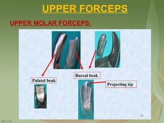 UPPER FORCEPS
UPPER MOLAR FORCEPS:
 