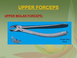 UPPER FORCEPS
UPPER MOLAR FORCEPS:
 