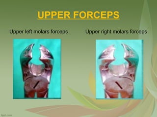 UPPER FORCEPS
Upper left molars forceps Upper right molars forceps
 