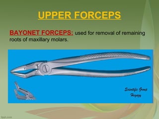 UPPER FORCEPS
BAYONET FORCEPS: used for removal of remaining
roots of maxillary molars.
 
