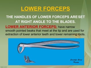 LOWER FORCEPS
THE HANDLES OF LOWER FORCEPS ARESET
AT RIGHT ANGLE TO THE BLADES.
LOWER ANTERIOR FORCEPS: have narrow
smooth pointed beaks that meet at the tip and are used for
extraction of lower anterior teeth and lower remaining roots.
 