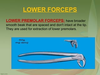 LOWER FORCEPS
LOWER PREMOLAR FORCEPS: have broader
smooth beak that are spaced and don't intact at the tip.
They are used for extraction of lower premolars.
 