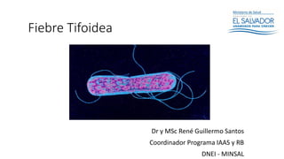 Fiebre Tifoidea
Dr y MSc René Guillermo Santos
Coordinador Programa IAAS y RB
DNEI - MINSAL
 