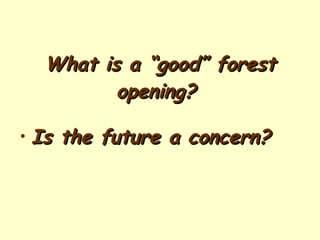 What is a “good” forest opening?   ,[object Object]