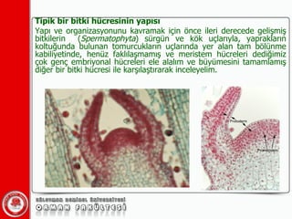 01 Genel Botanik | PPT