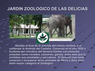 JARDIN ZOOLOGICO DE LAS DELICIAS Situado al final de la avenida del mismo nombre, y al comenzar la Avenida del Castaño. Comenzó en el año 1930 a fundarse por iniciativa del General Gómez con especies animales como venados, caimanes, garzas, entre otos que le enviaban sus amistades y servidores . El General mas tarde comenzó a incorporar otros animales de África y Asia, para darle mayor categoría al Zoológico. 