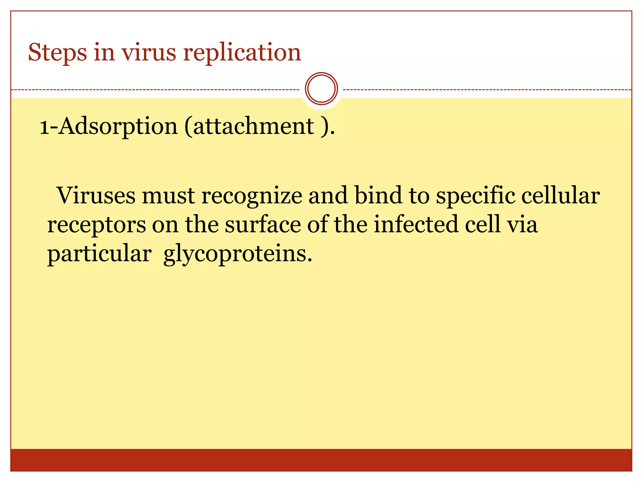 01 general structure and classification of viruses1 | PPT
