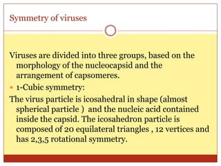 Symmetry of viruses



Viruses are divided into three groups, based on the
  morphology of the nucleocapsid and the
  arrangement of capsomeres.
 1-Cubic symmetry:
The virus particle is icosahedral in shape (almost
  spherical particle ) and the nucleic acid contained
  inside the capsid. The icosahedron particle is
  composed of 20 equilateral triangles , 12 vertices and
  has 2,3,5 rotational symmetry.
 
