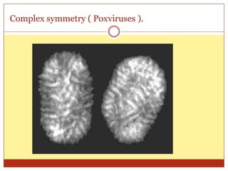Complex symmetry ( Poxviruses ).
 