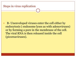 Steps in virus replication




 B- Unenveloped viruses enter the cell either by
 endocytosis ( endosome lyses as with adenoviruses)
 or by forming a pore in the membrane of the cell.
 The viral RNA is then released inside the cell
 (picornaviruses).
 