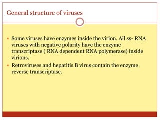 General structure of viruses



 Some viruses have enzymes inside the virion. All ss- RNA
  viruses with negative polarity have the enzyme
  transcriptase ( RNA dependent RNA polymerase) inside
  virions.
 Retroviruses and hepatitis B virus contain the enzyme
  reverse transcriptase.
 