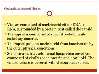 01- General structure and classification of viruses1.pptx
