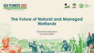 thumbnail of  The Future Natural and Managed Wetland – GLF Forests 2025– GLF Forests 2025