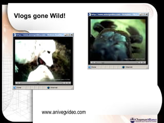 Vlogs gone Wild! www.anivegvideo.com 