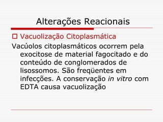 Alterações Reacionais
 Vacuolização Citoplasmática
Vacúolos citoplasmáticos ocorrem pela
  exocitose de material fagocitado e do
  conteúdo de conglomerados de
  lisossomos. São freqüentes em
  infecções. A conservação in vitro com
  EDTA causa vacuolização
 
