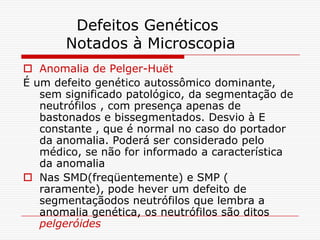 Defeitos Genéticos
       Notados à Microscopia
 Anomalia de Pelger-Huët
É um defeito genético autossômico dominante,
   sem significado patológico, da segmentação de
   neutrófilos , com presença apenas de
   bastonados e bissegmentados. Desvio à E
   constante , que é normal no caso do portador
   da anomalia. Poderá ser considerado pelo
   médico, se não for informado a característica
   da anomalia
 Nas SMD(freqüentemente) e SMP (
   raramente), pode hever um defeito de
   segmentaçãodos neutrófilos que lembra a
   anomalia genética, os neutrófilos são ditos
   pelgeróides
 